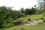 Kandy Bungalow