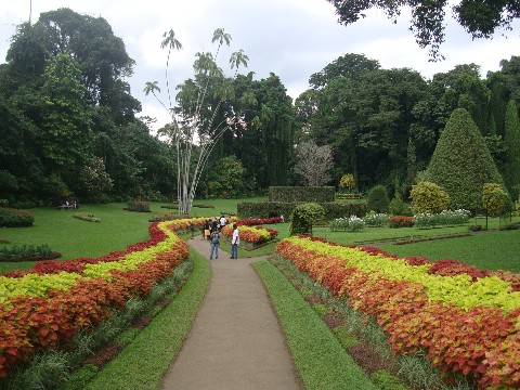 Botanical Garden