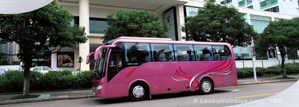 bus 1