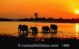 WATER FALLS IN SRI LANKA