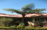 Nuwara Eliya Guest House