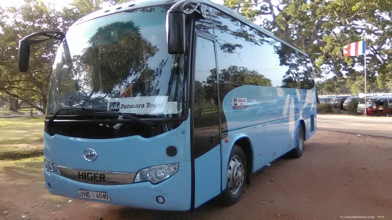 any Bus/Coach