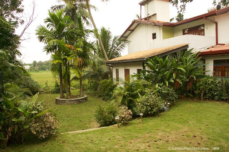 Garden overlooking paddy fields