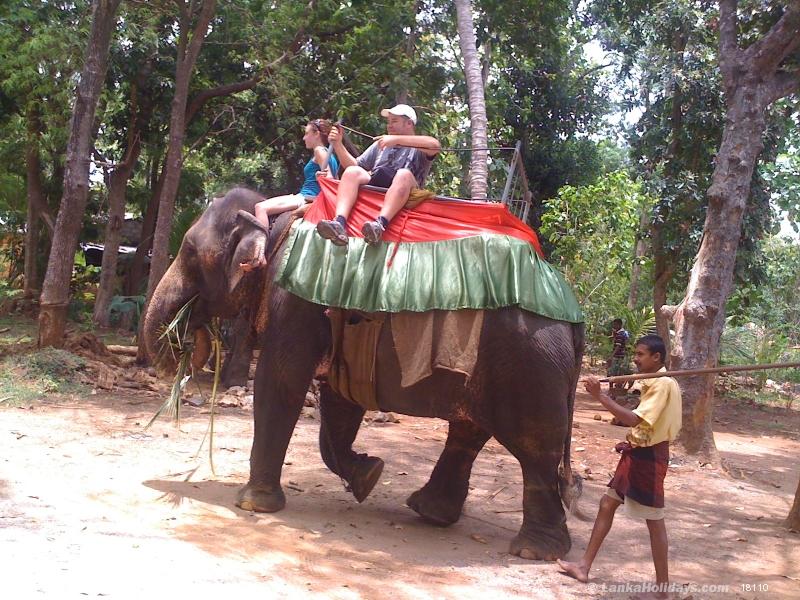 Rides On Elephants