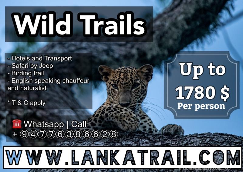 Wildlife Tours