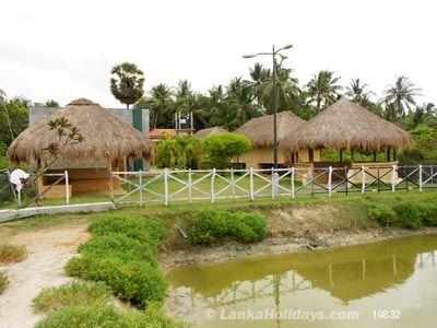 Kalpitiya Hotel