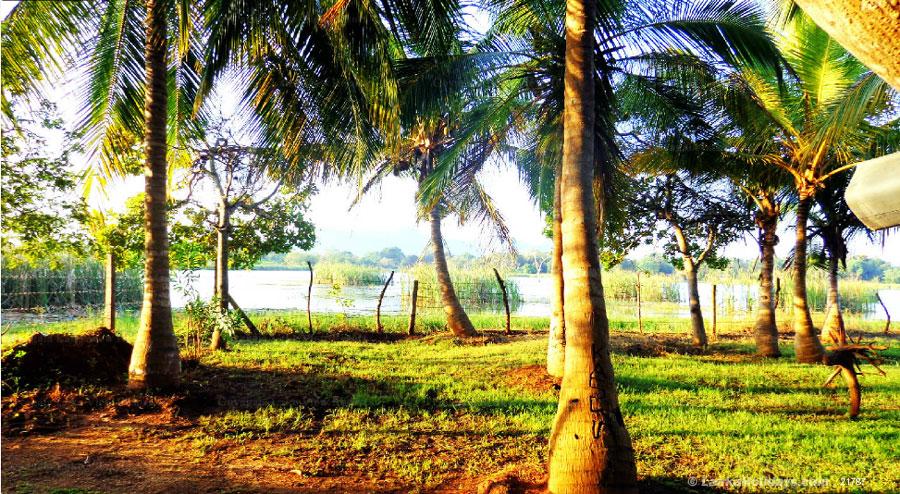 Kataragama Bungalow