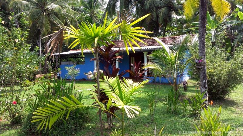 Bentota Hotel