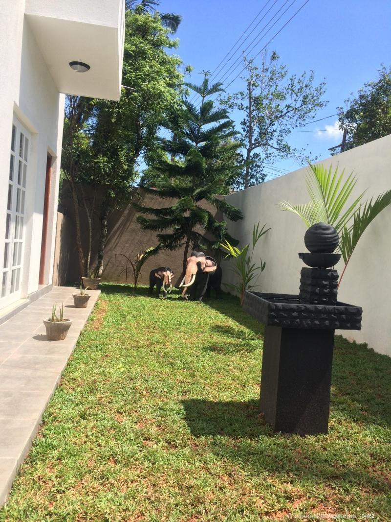 Garden with fountain, elephants & grass