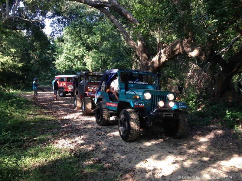 Hire jeep #2