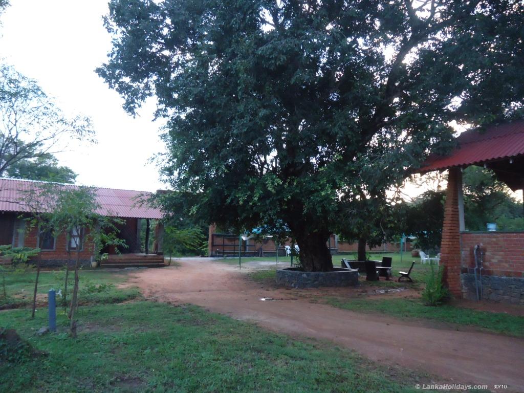 Anuradhapura Hotel