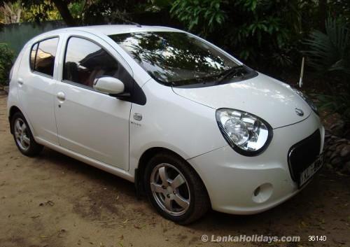 Micro Panda Look Lanka