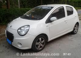 Micro Panda Look Lanka