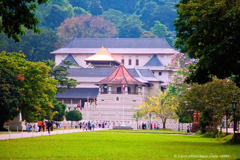 Sri Lanka Holidays PRIVATE FULL DAY TOUR TO PERADENIYA & KANDY RENT