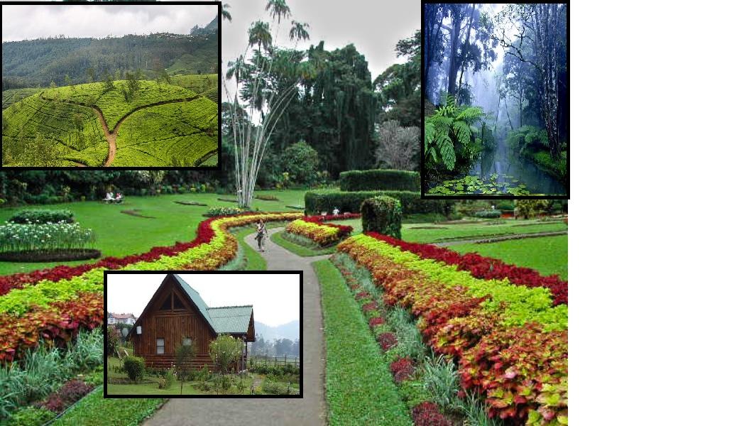 Beauty of Nuwara Eliya, city in the hill