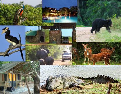 Yala, National Wild Life Park