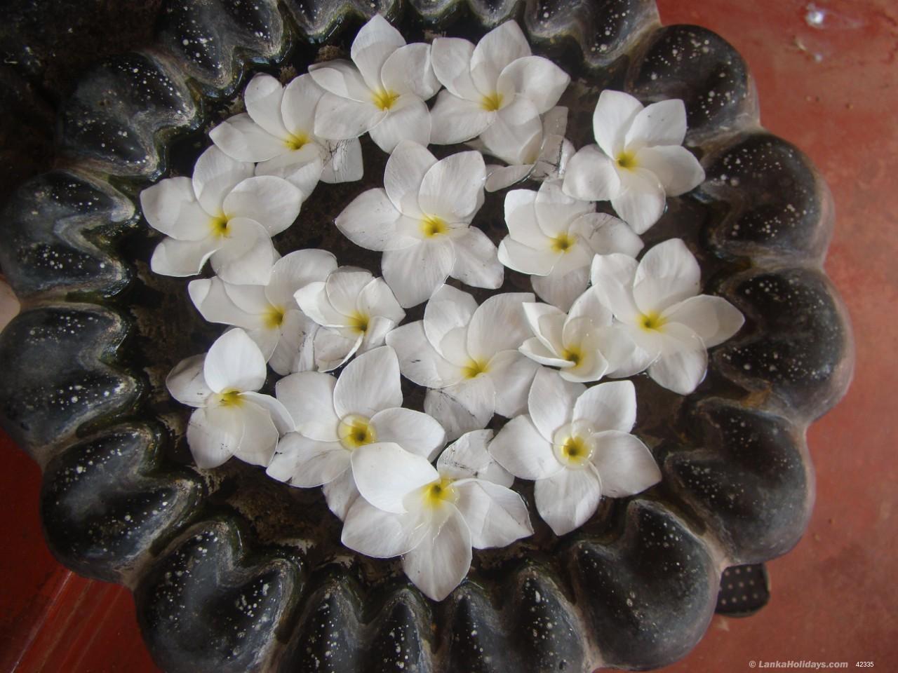 Anuradhapura Guest House