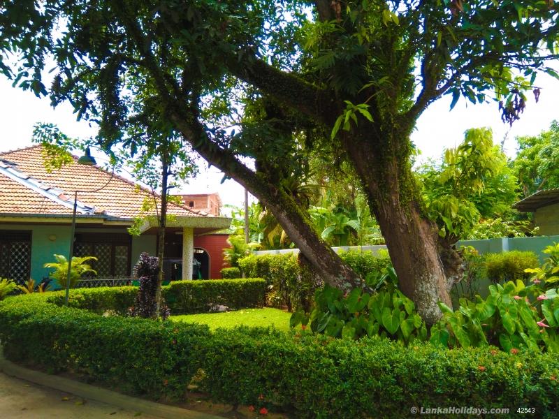 Galle Villa