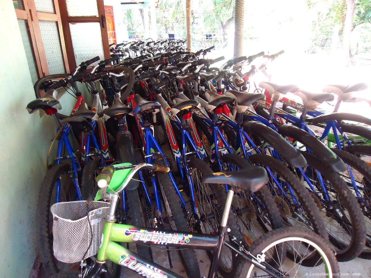 Bycicles for hire