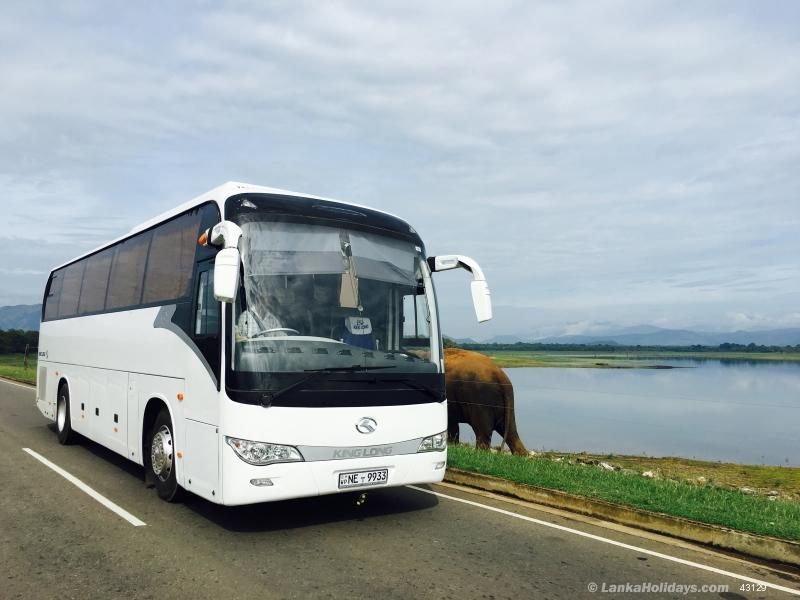 Colombo Bus/Coach