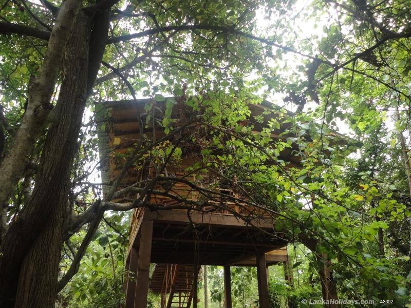 Sigiriya Hotel