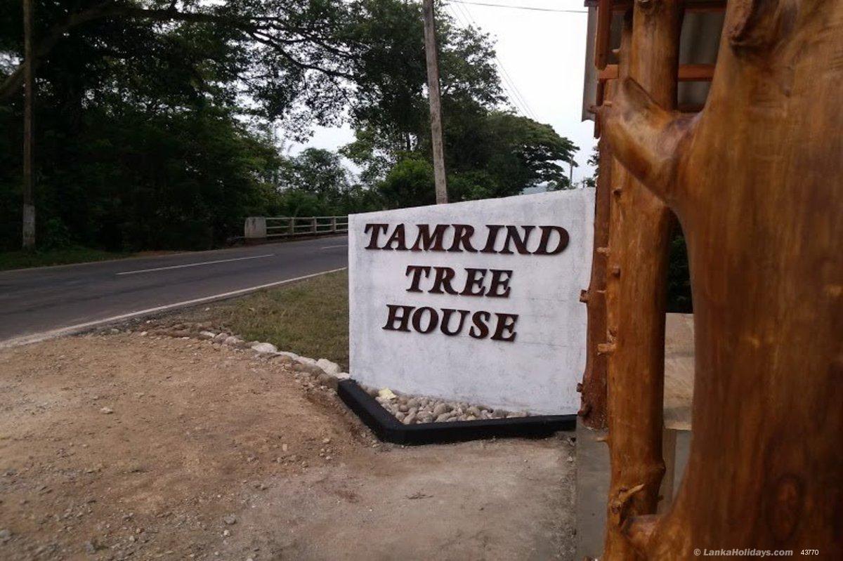 Tamarind Tree House