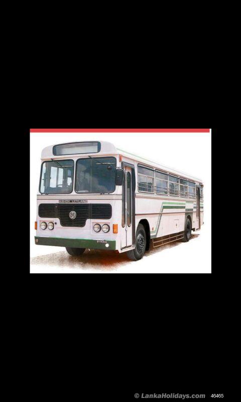 Normal Buses