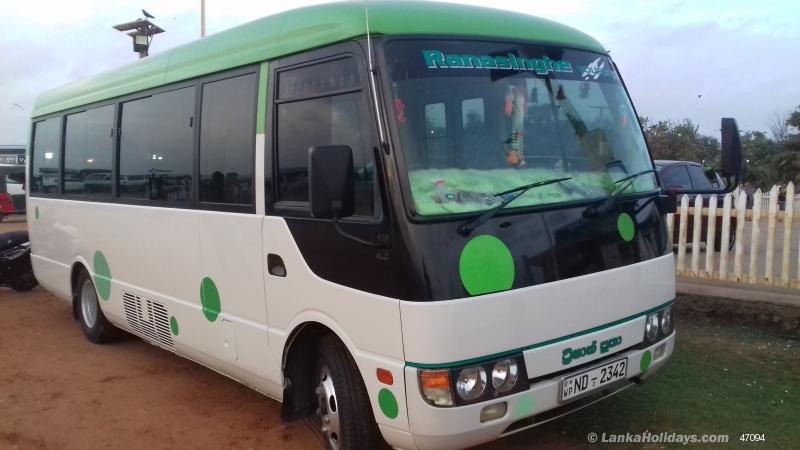 any Bus/Coach