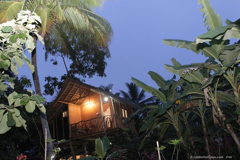 Sigiriya House