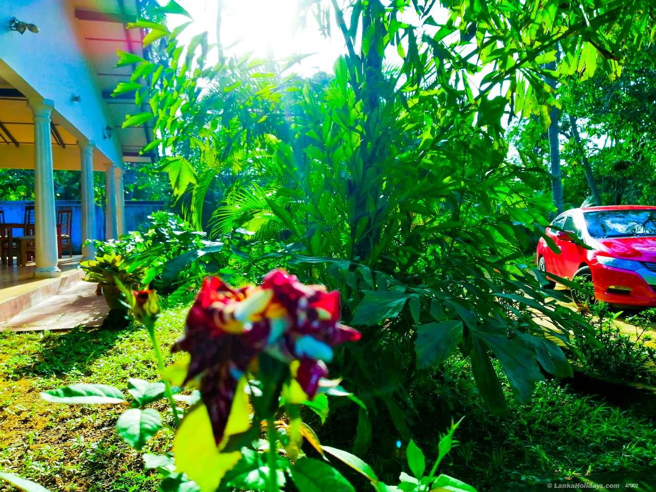 Sigiriya Hotel