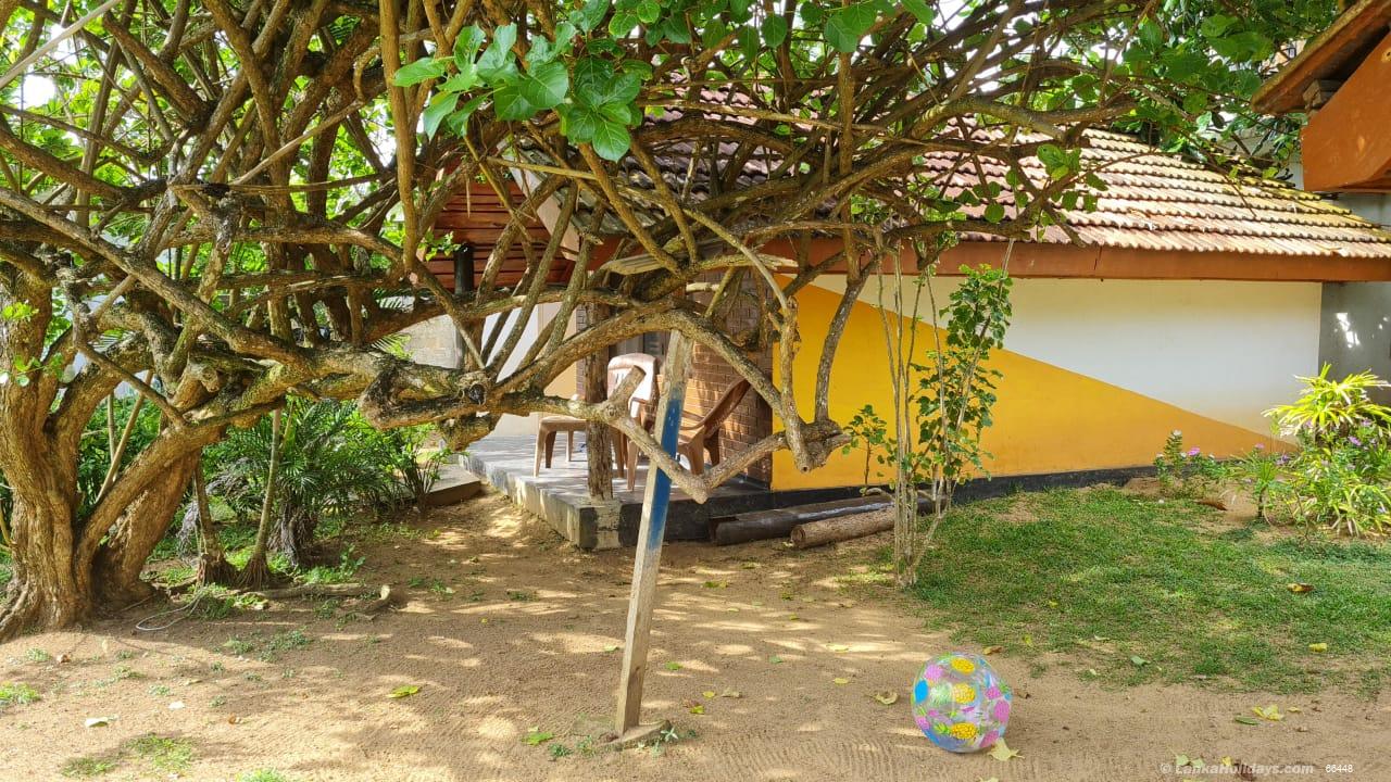 Hikaduwa Cottage