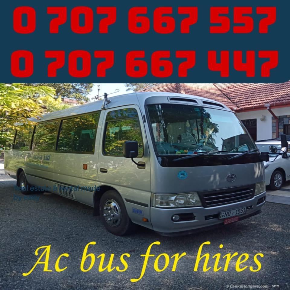 any Bus/Coach