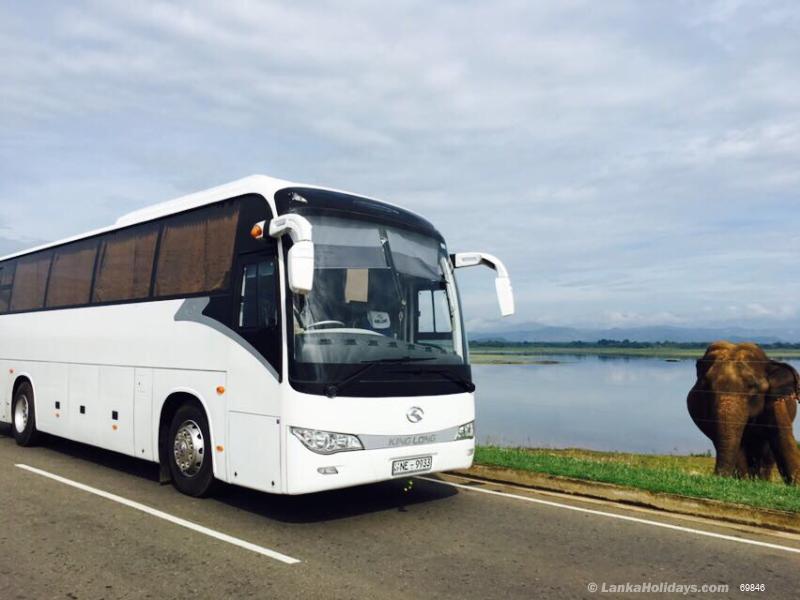Colombo Bus/Coach