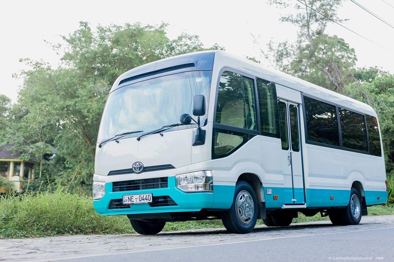 any Bus/Coach
