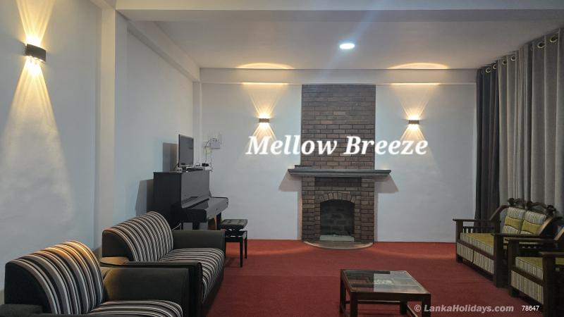 Living Room with Fireplace