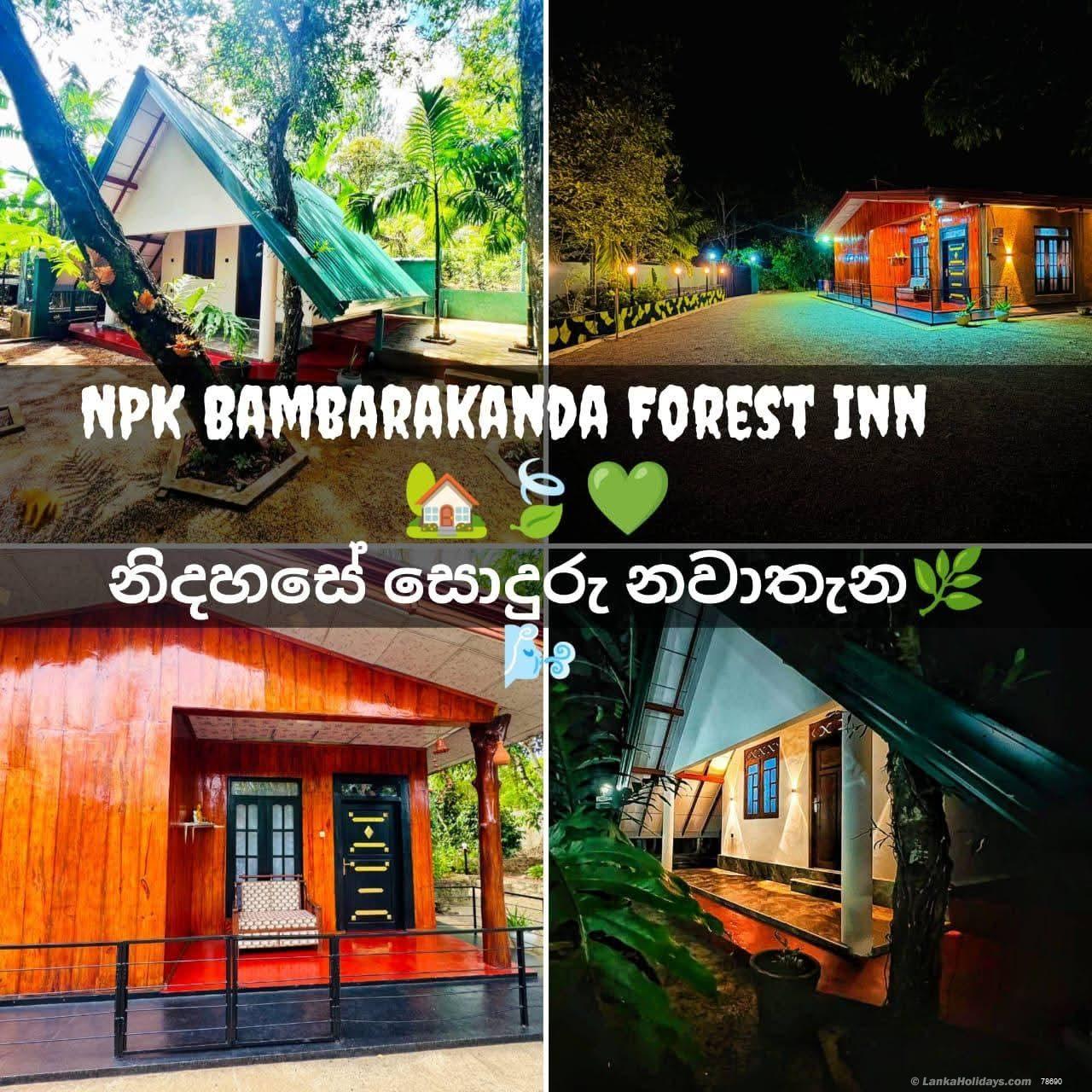 Npk bambarakanda forest inn 