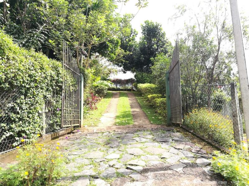 Entrance to the Bungalow