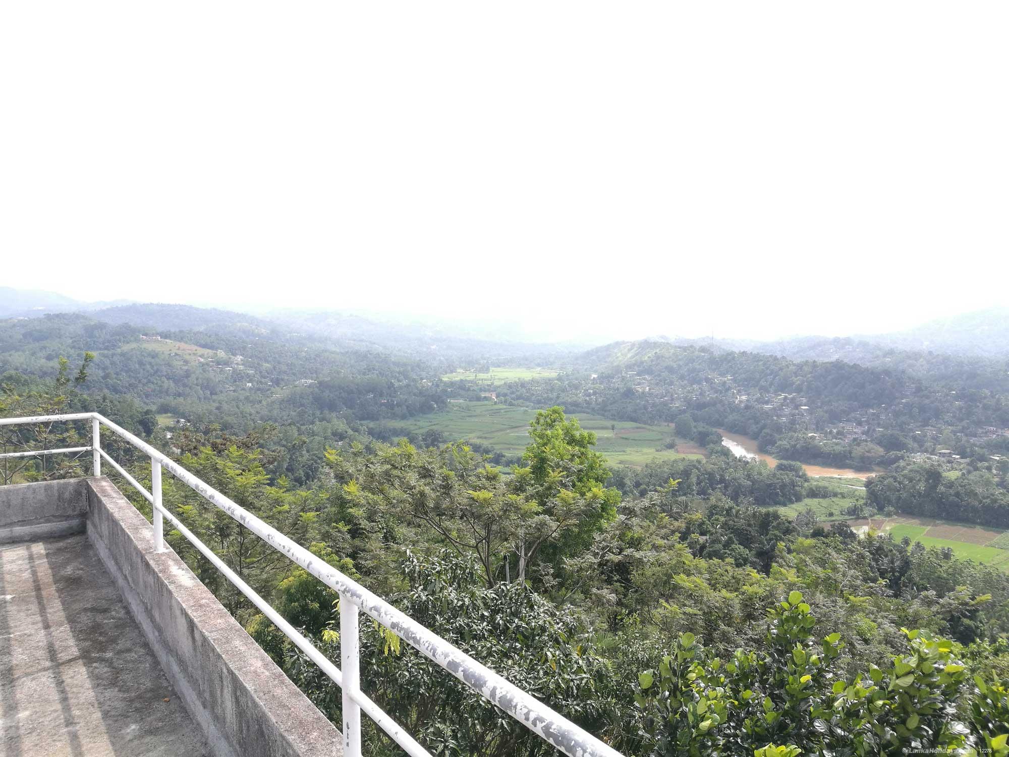 Roof Top View