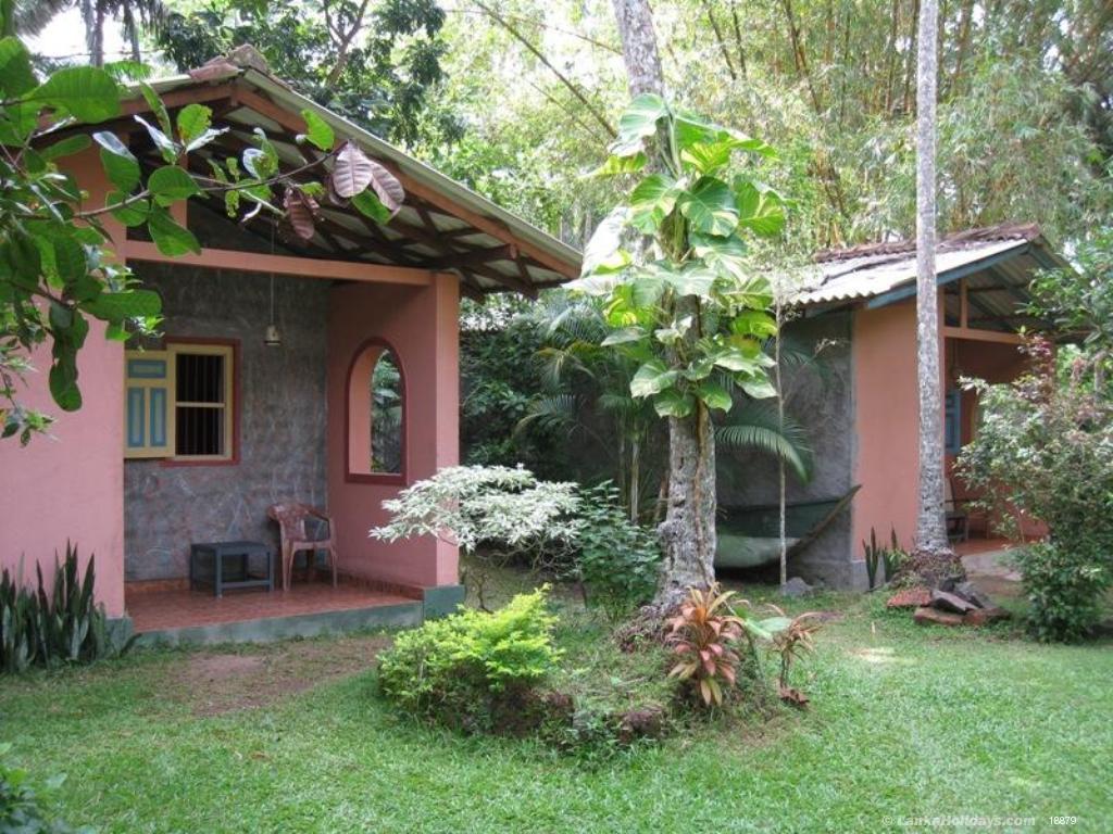 cottage