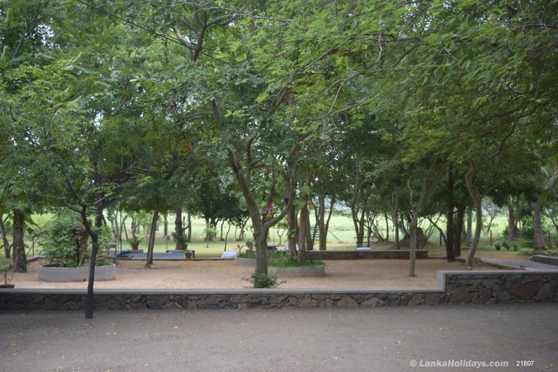 garden