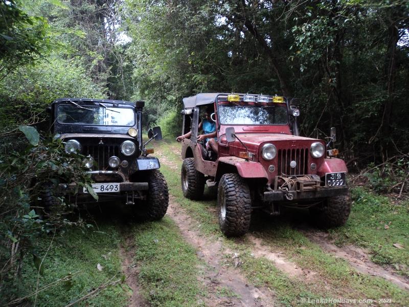 Sri Lanka Jeep Rentals/Hire 4x4 SAFARI JEEPS FOR SELF DRIVE