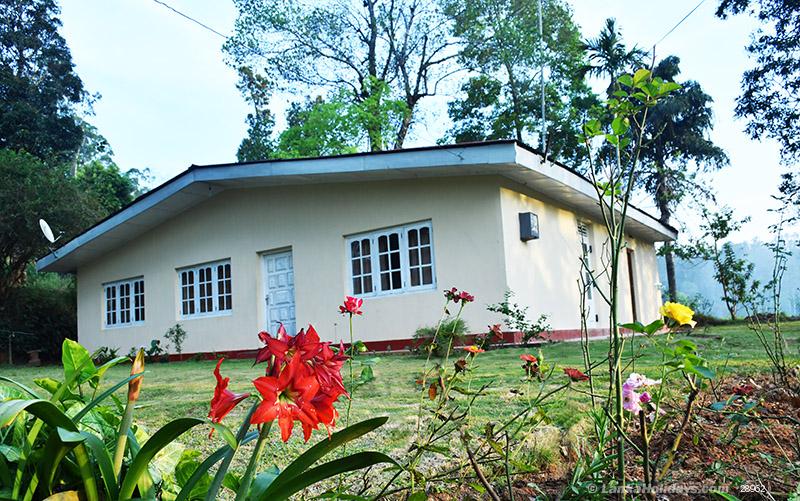 Frount