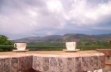 Peradeniya Guest House