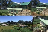 Nuwara Eliya Room