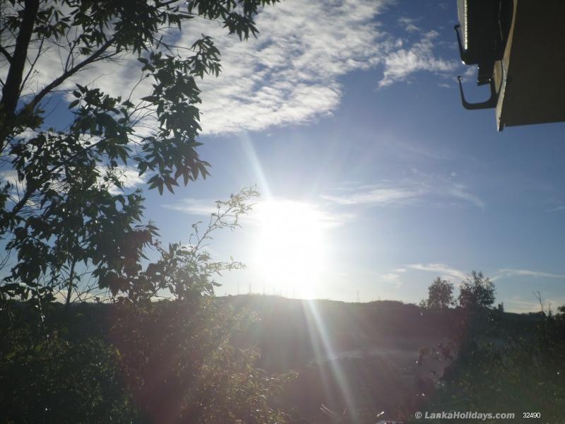 MORRING SUN RICE VIEW