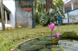 Anuradhapura Guest House