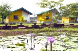 Anuradhapura Hotel