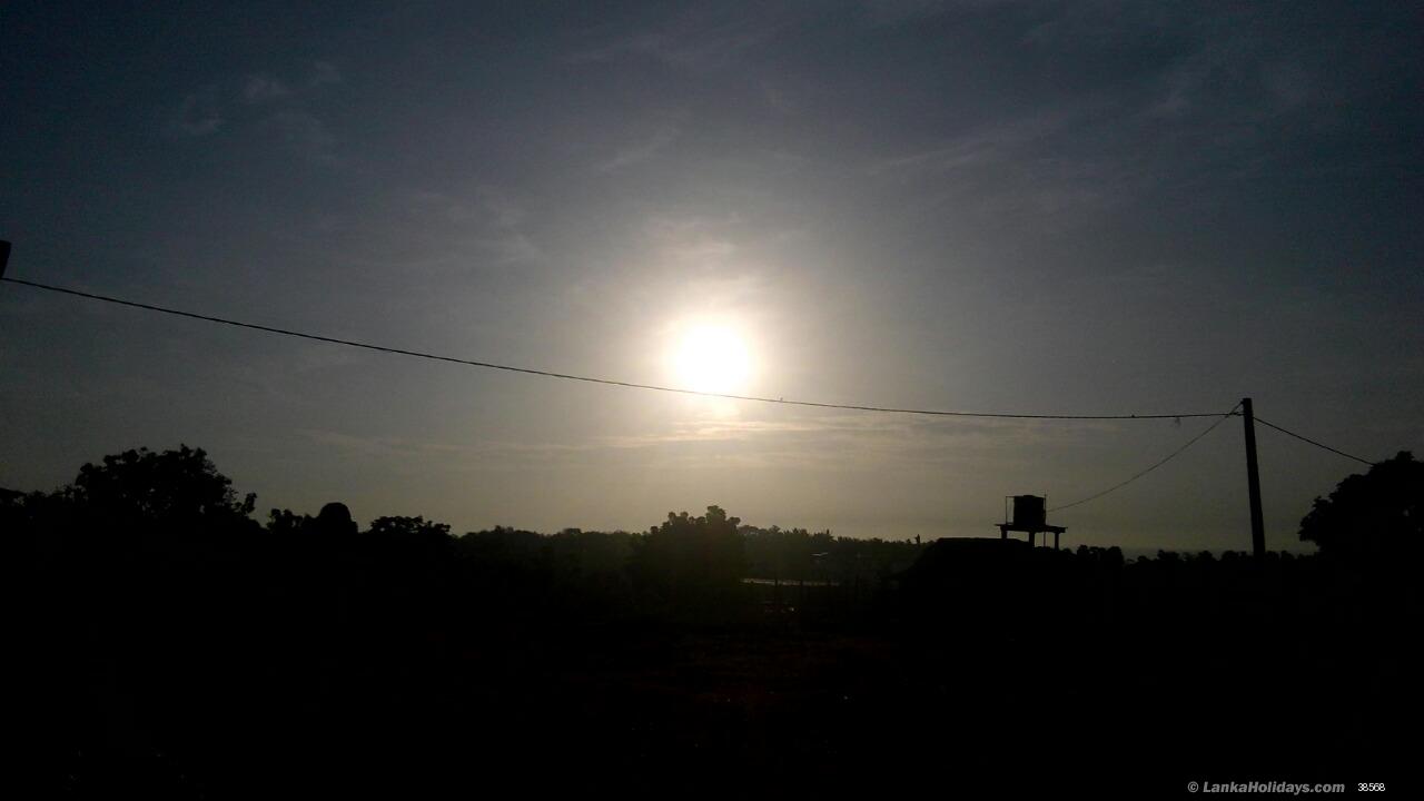 view