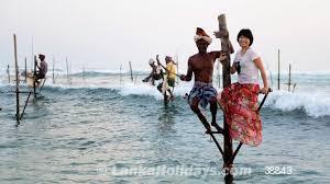 Sri Lanka holiday Van hire