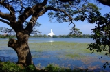 Anuradhapura House